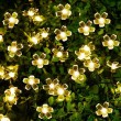 Girlanda solarna do ogrodu kwiatki 40 lampek LED 6m BLOSSOM - Nie Tylko Firany
